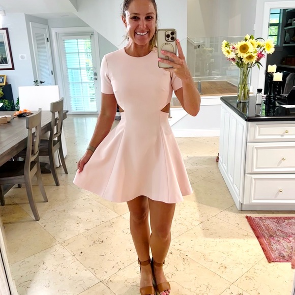 Elizabeth and James Leonie Dress in Cherry Blossom (light pink) EUC sz 4 - Picture 5 of 16